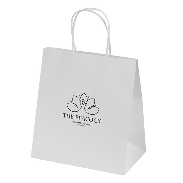 Ashdown Mini White Kraft Paper Gift Bag – Spot Colour