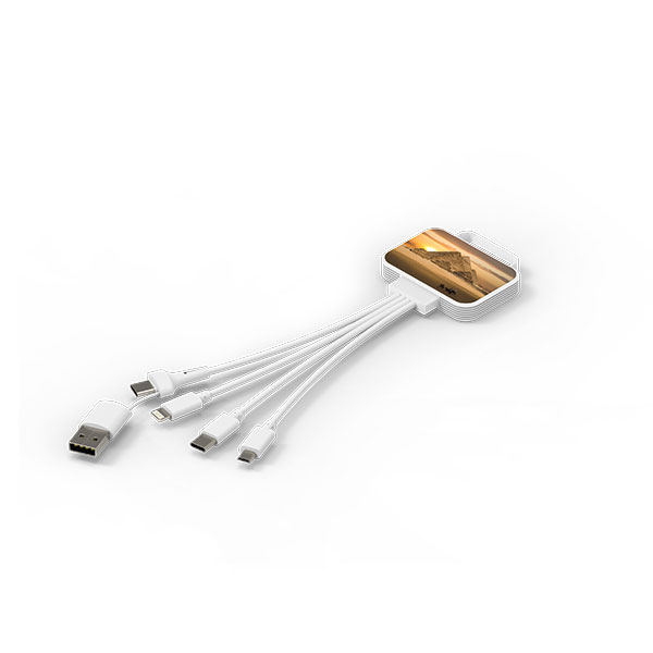 Billboard 4 in 1 Charging Cable