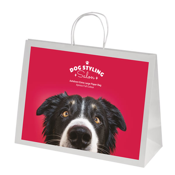 Ashdown XL White Kraft Paper Gift Bag – Full Colour
