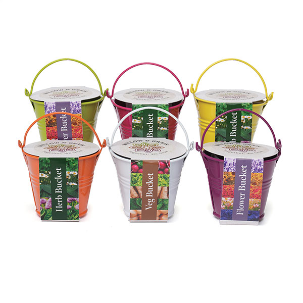 Coloured Mini Bucket Grow Kit