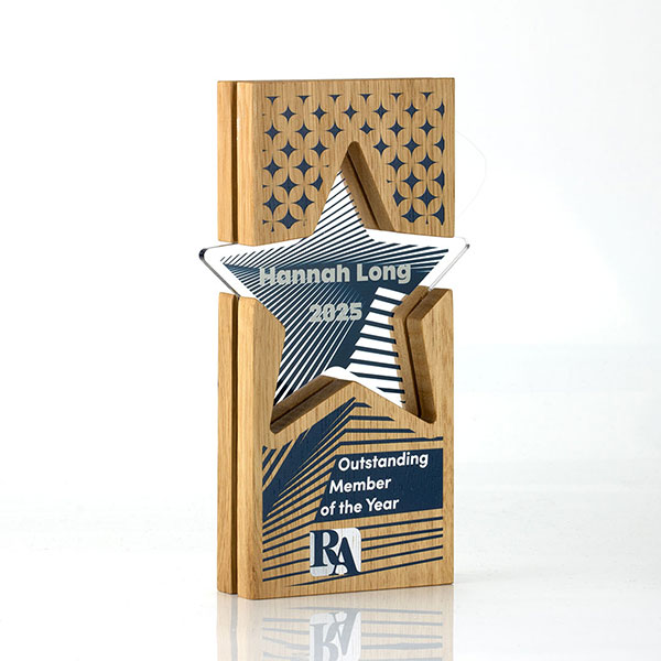 Acrylic Inset Star Award