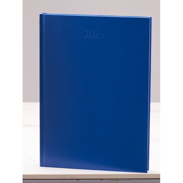 Excel Daily A4 Diary
