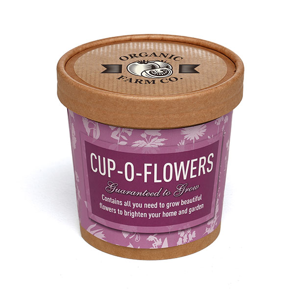 Paper Cup Grow Kit