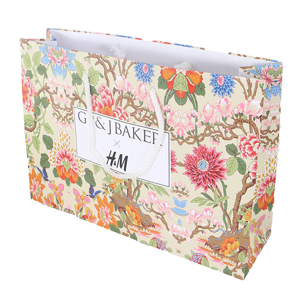 Landscape Laminated Paper Carrier Bag – Small