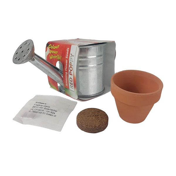 Zinc Bucket Watering Can