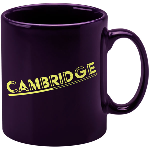 Cambridge Earthenware Mug - Coloured