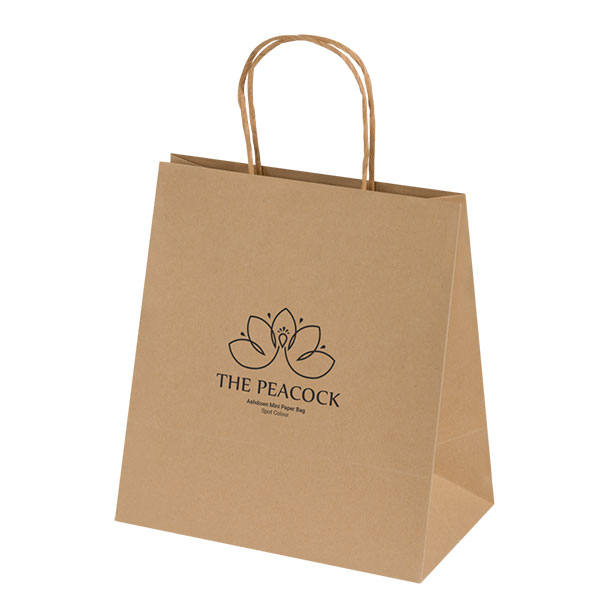 Ashdown Mini Natural Kraft Paper Gift Bag – Full Colour