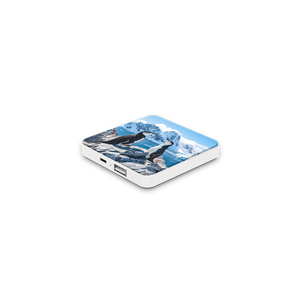 Billboard 3000mAh Powerbank
