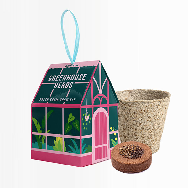 Hanging House Seed Kit
